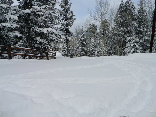 Do You Need Your Order History?