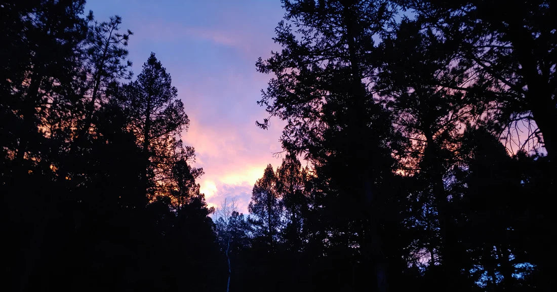 Planning for the Holidays 2023