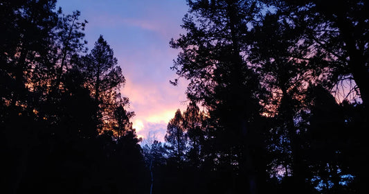 Planning for the Holidays 2023