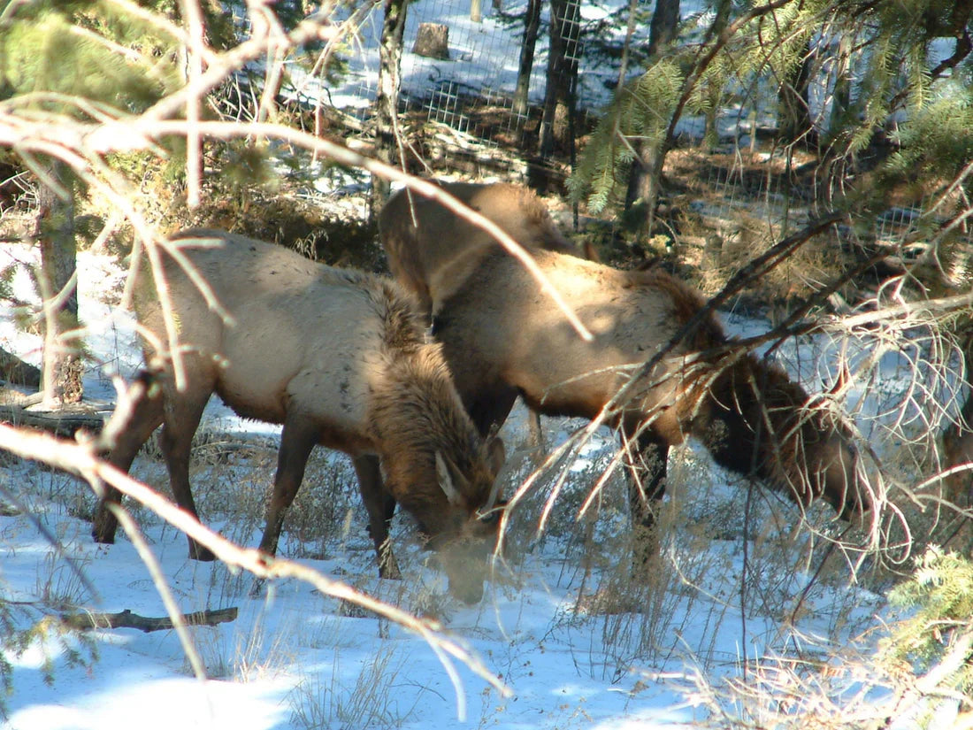 It's 2019 and We're Invite Only