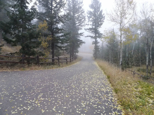 Our New Business Model