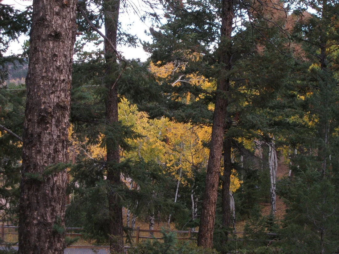 Minding Your Business