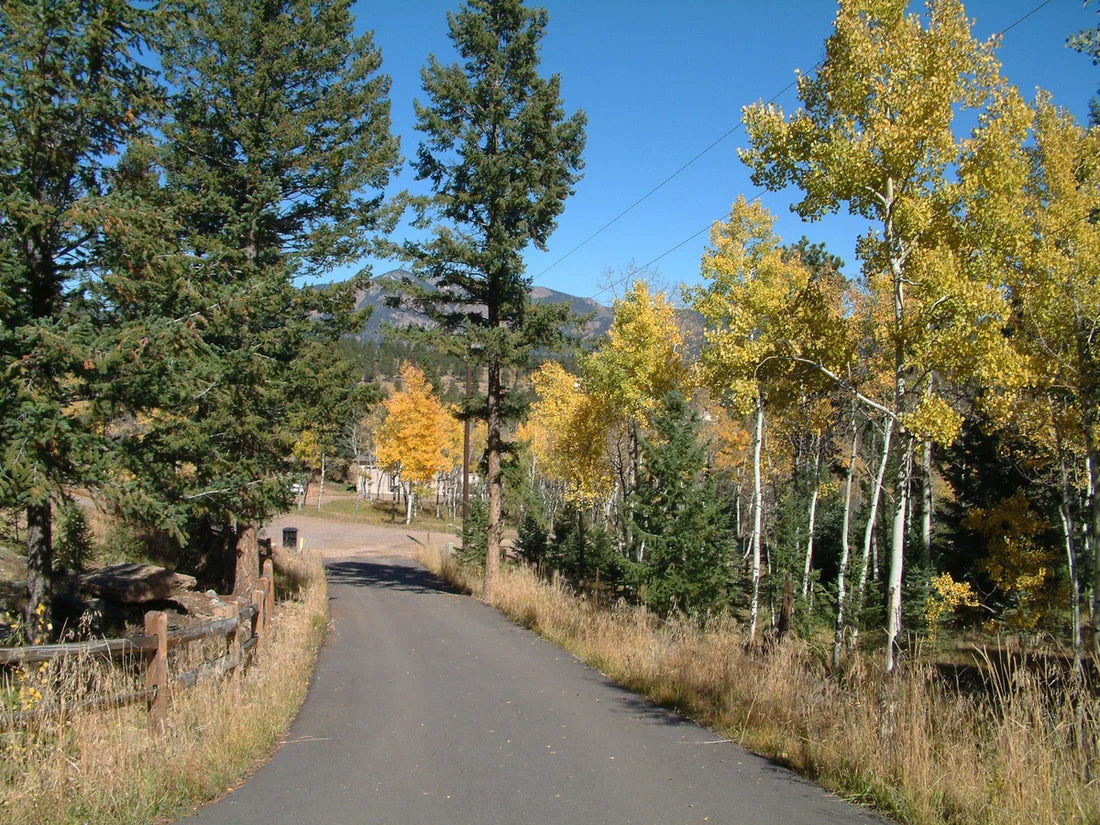 Good Results Aren't Born of Bad Intentions