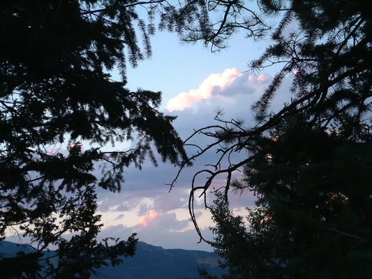 Changes for the New Year